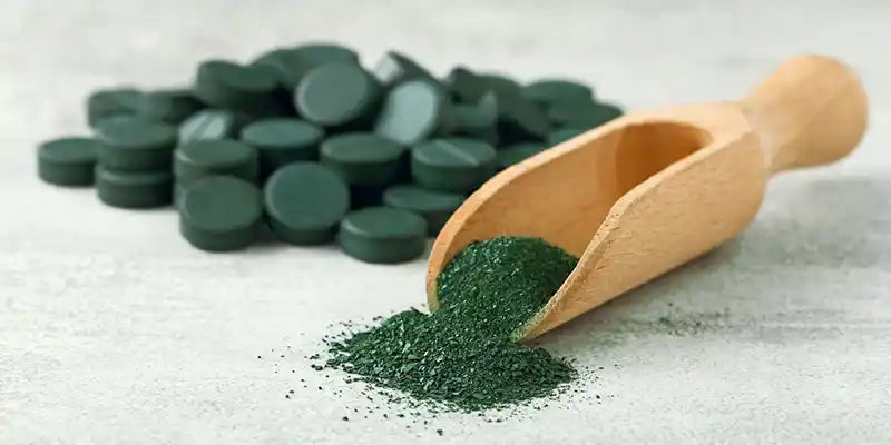 espirulina Bio Amoseeds especialista superalimentos bio