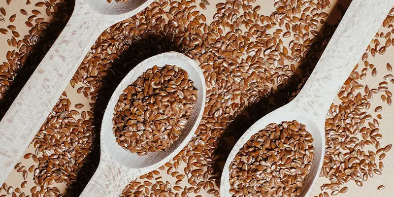 semillas lino vientre amoseeds especialista superalimentos bio