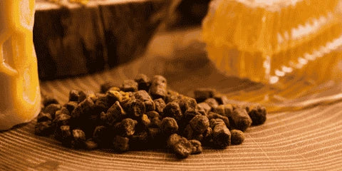 Própolis beneficios guía de uso amoseeds moseeds especialista de los superalimentos bio