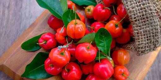 acerola amoseeds especialista superalimentos bio