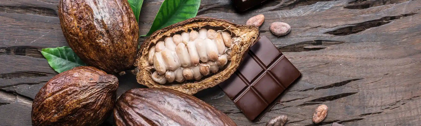 cacao beneficios amoseeds especialista en los superalimentos bio