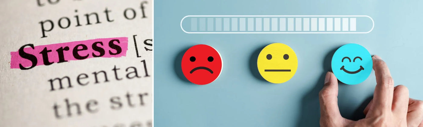 cortisol Amoseeds specialista superalimentos Bio