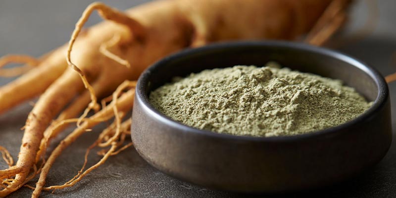 ginseng rosso guia Amoseeds especialista superalimentos bio