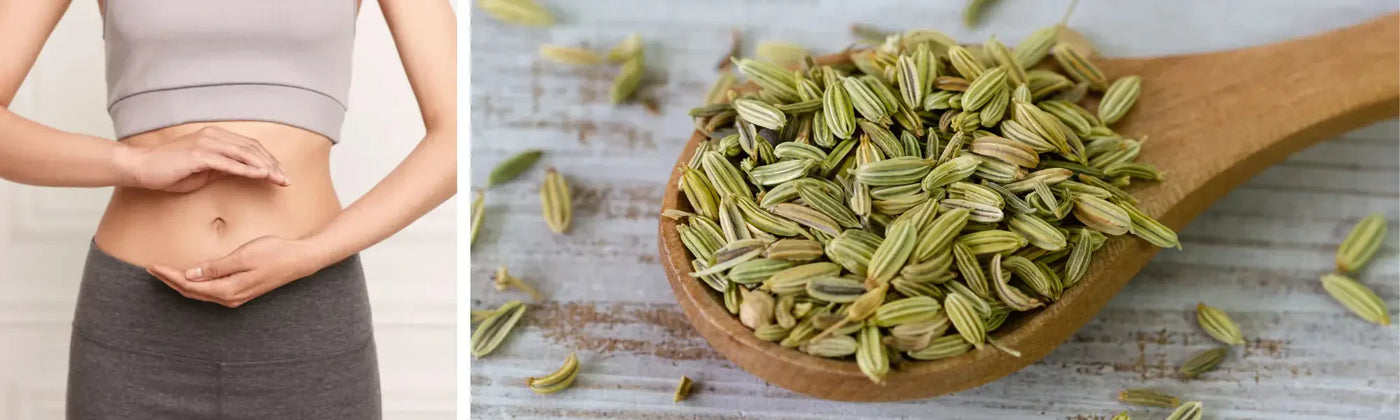 Hinojo: Beneficios, uso y consejos prácticos