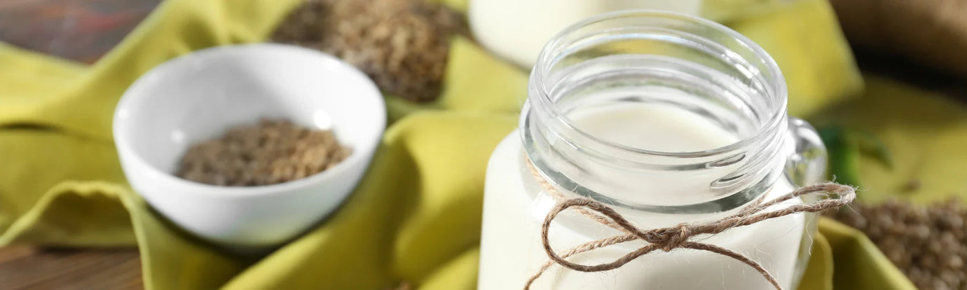 leche vegetal semillas canamo Amoseeds specialista de superalimentos Bio