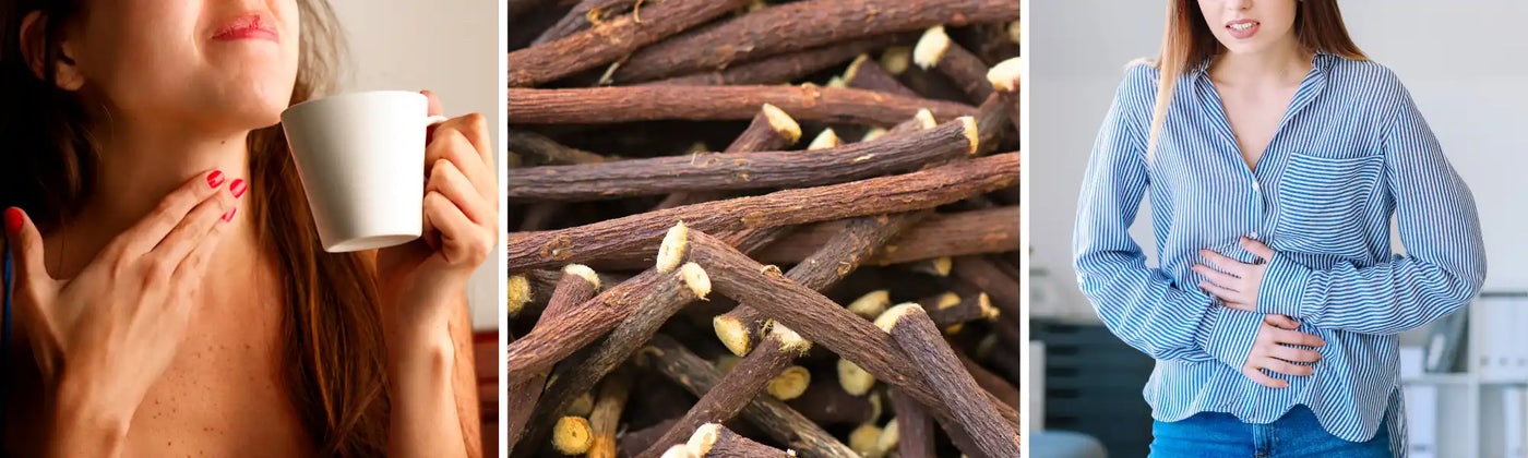 regaliz beneficios usos precauciones amoseeds especialista en los superalimentos bio
