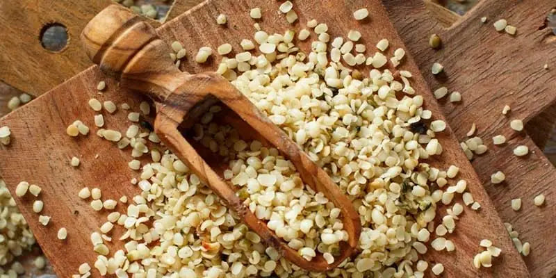semillas canamo Amoseeds especialista superalimentos Bio