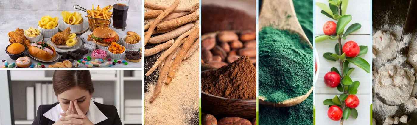 superalimentos estres rutina Amoseeds specialista superalimentos Bio 