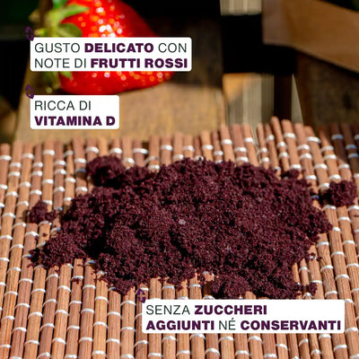 Qualita Açaí in Polvere Bio - amoseeds specialisti dei superalimenti bio