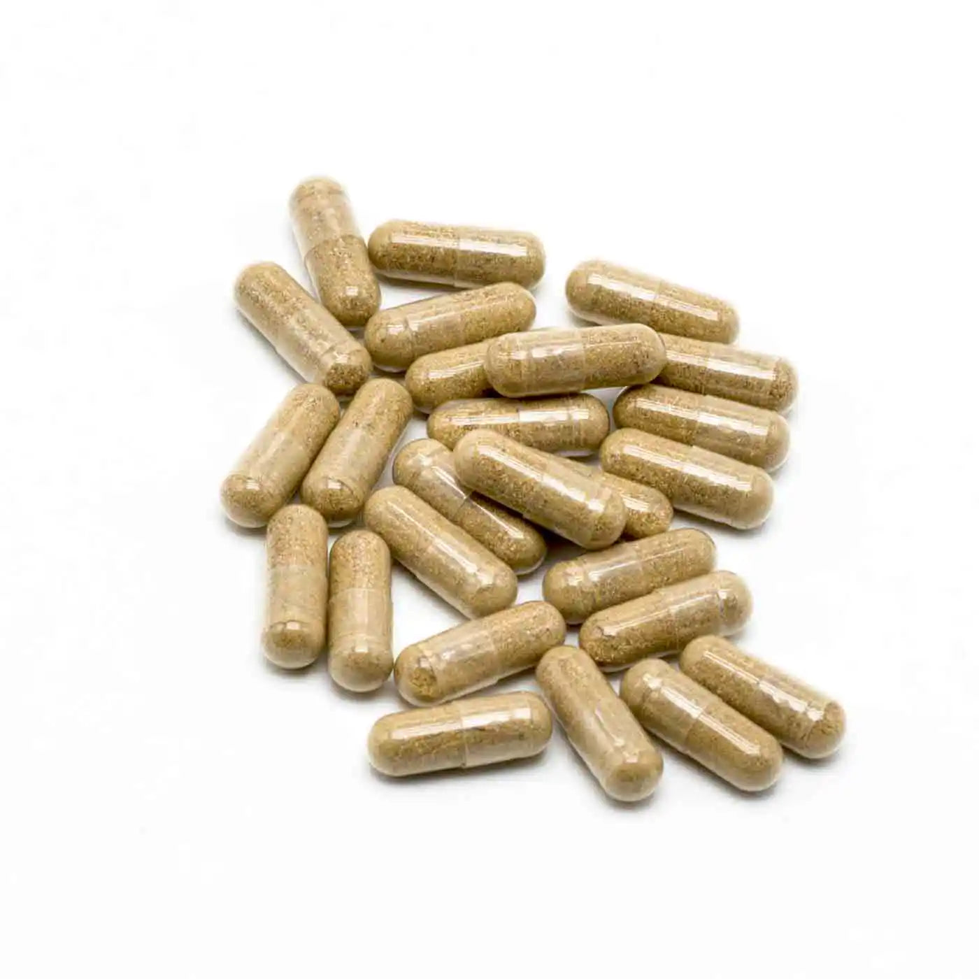 Ashwagandha Bio KSM-66™, 5% withanólidos | 60 cápsulas