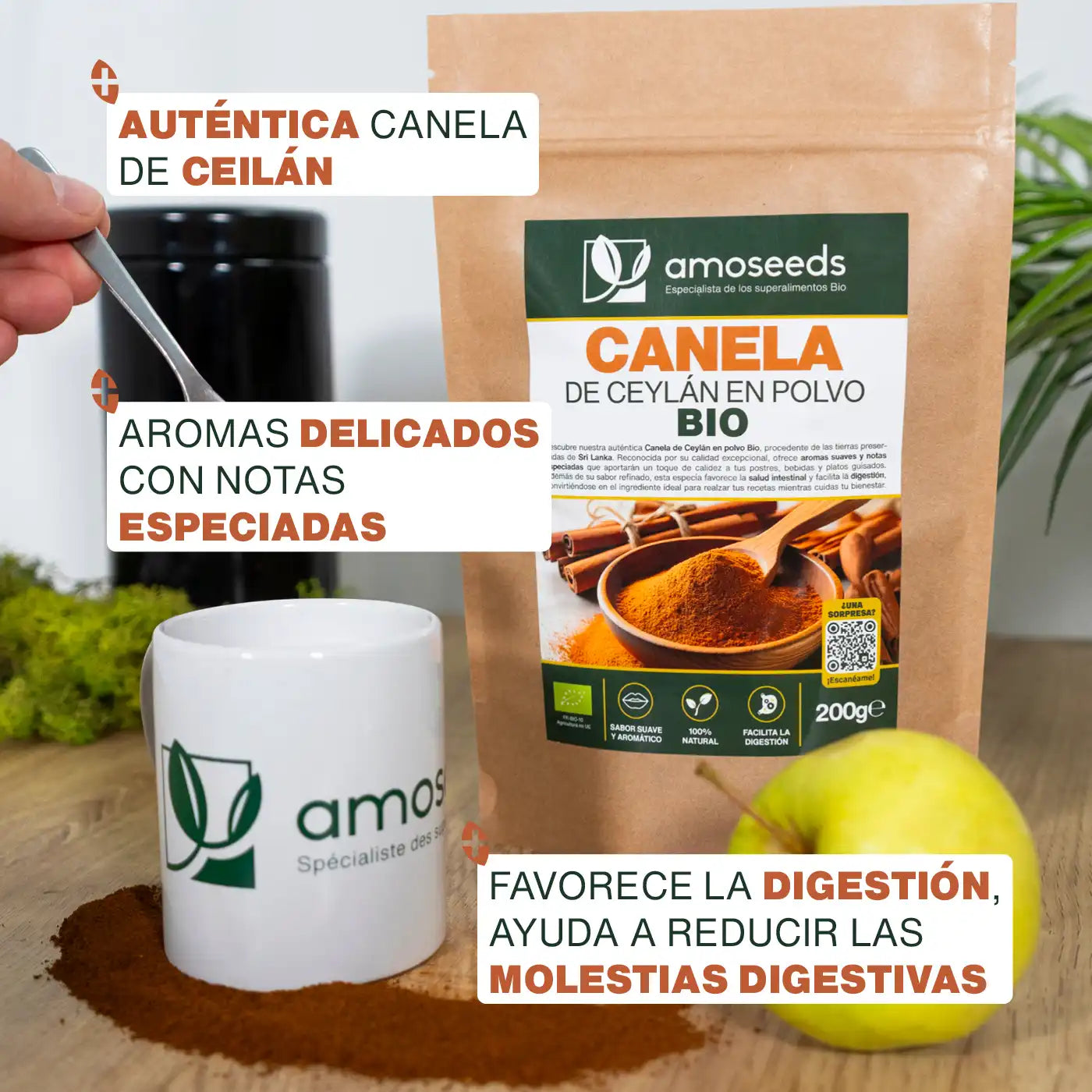 Canela de Ceilán en polvo Bio - amoseeds especialista de los superalimentos bio