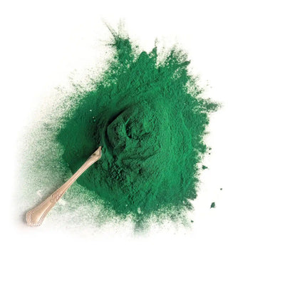 Espirulina Bio polvo amoseeds especialista superalimentos bio