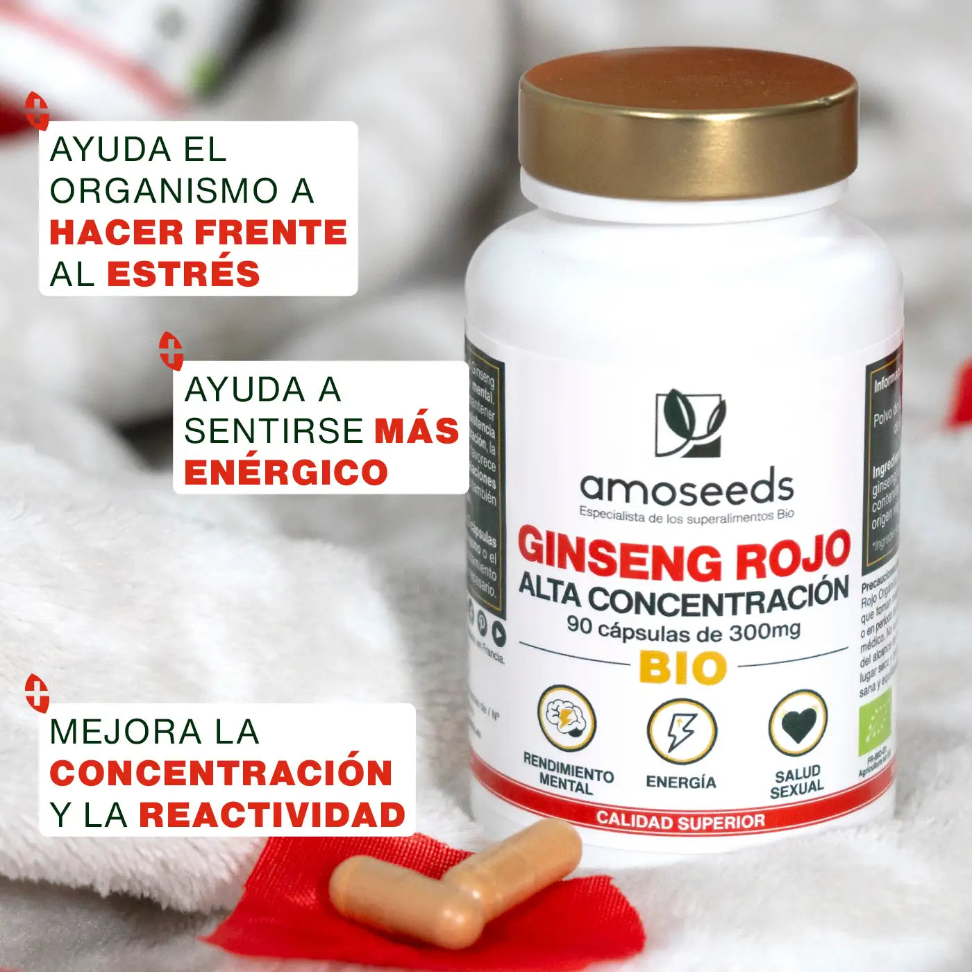 Beneficios Ginseng Rojo Bio - amoseeds especialista superalimentos bio
