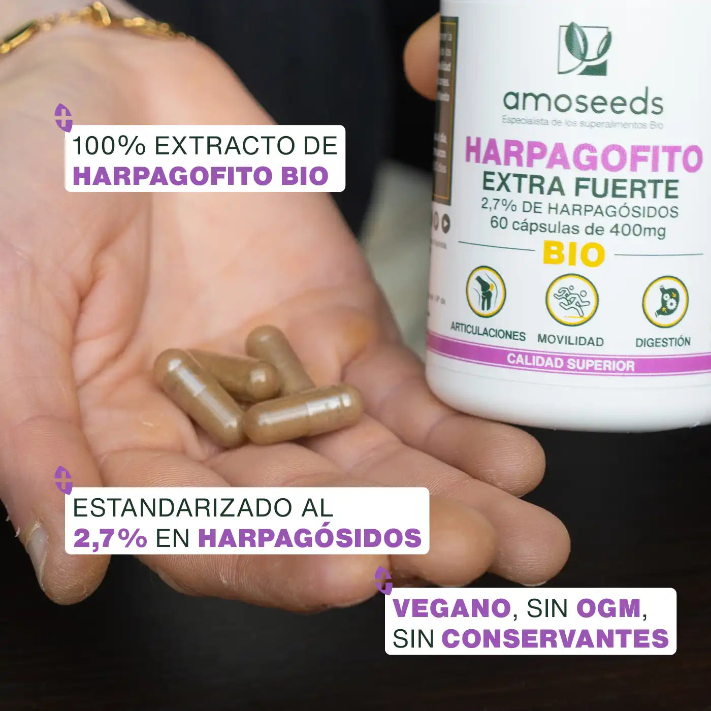 Calidad Harpagofito Bio - amoseeds especialista de los superalimentos bio