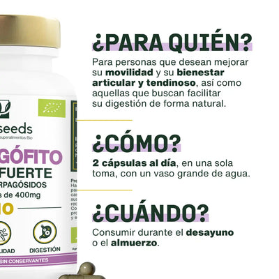 Uso Harpagofito Bio - amoseeds especialista de los superalimentos bio