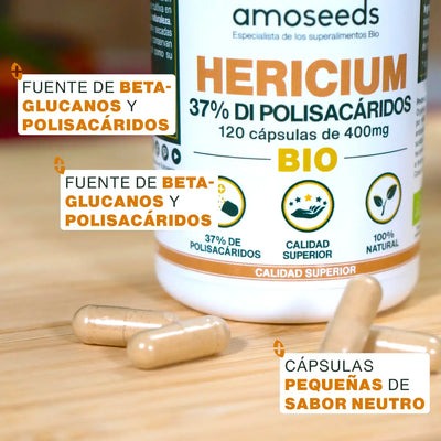 calidad Hericium Bio - amoseeds especialista superalimentos bio