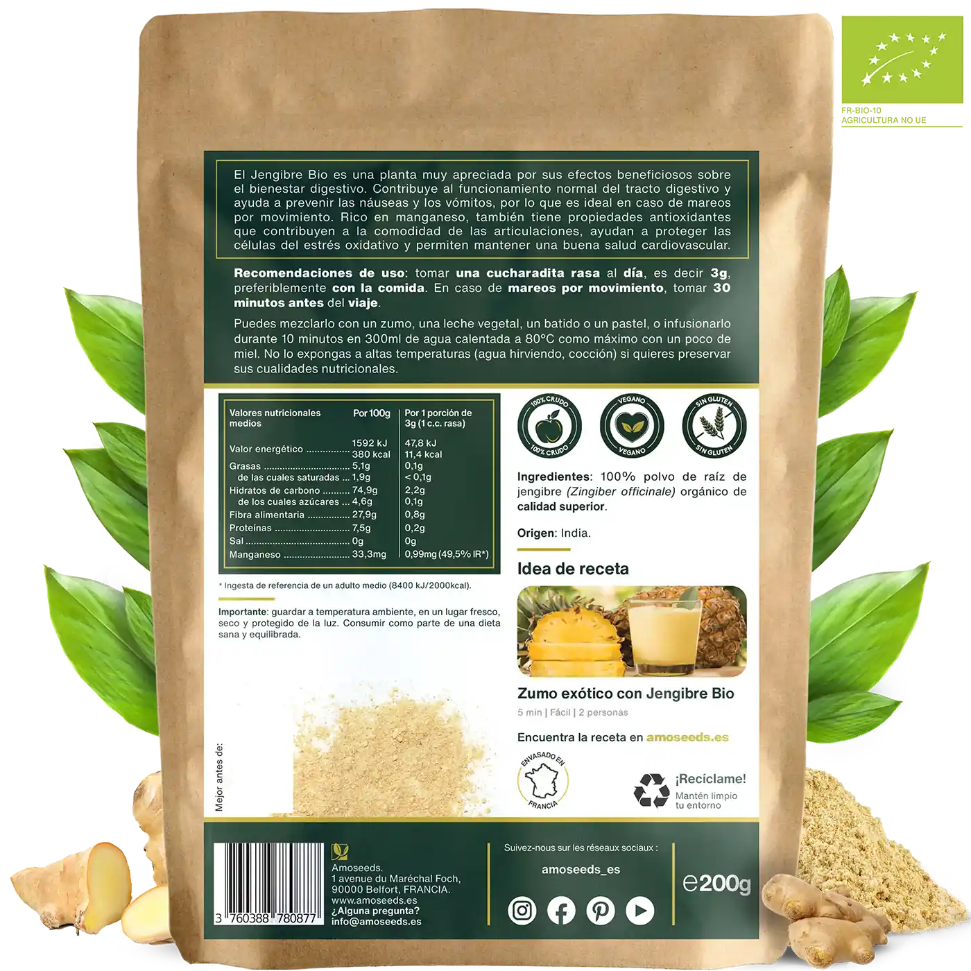 Jengibre polvo bio amoseeds especialista superalimentos bio,