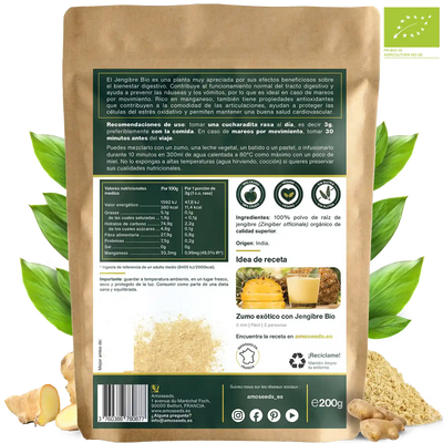 Jengibre polvo bio amoseeds especialista superalimentos bio,