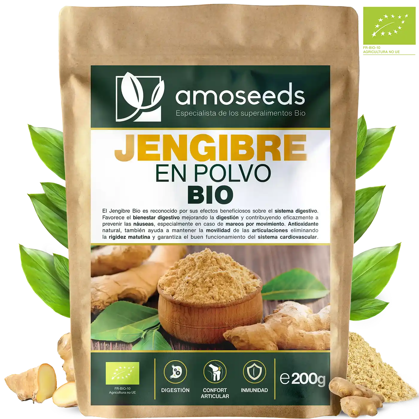 Jengibre polvo bio amoseeds especialista superalimentos bio,