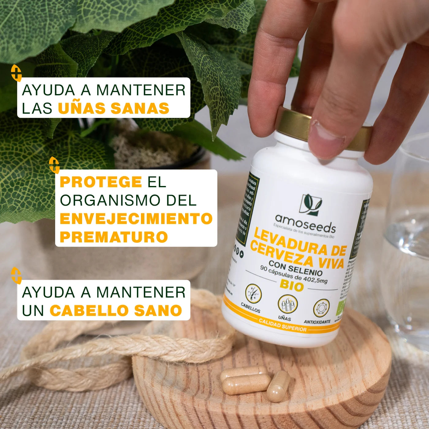 beneficios Levadura Cerveza Bio - amoseeds especialista superalimentos bio
