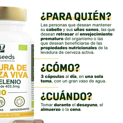uso Levadura Cerveza Bio - amoseeds especialista superalimentos bio