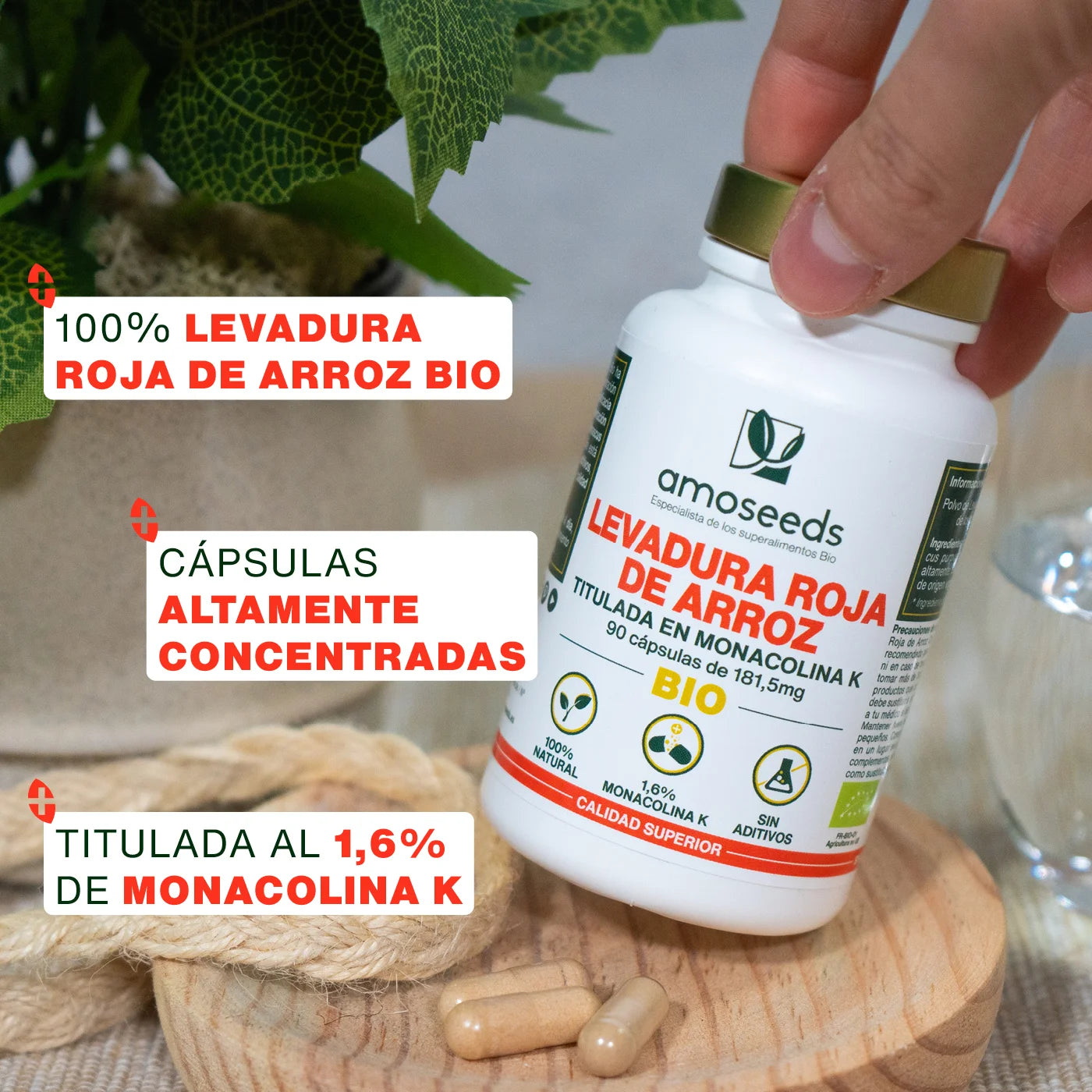beneficios Levadura Roja Arroz Bio - amoseeds especialista superalimentos bio