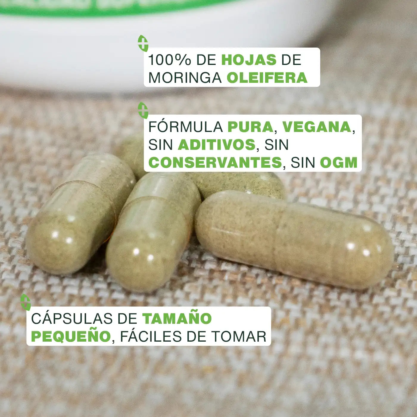 Calidad Moringa Bio - capsulas - amoseeds especialista de los superalimentos bio
