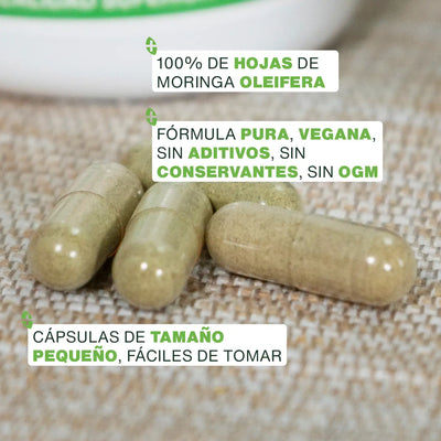 Calidad Moringa Bio - capsulas - amoseeds especialista de los superalimentos bio