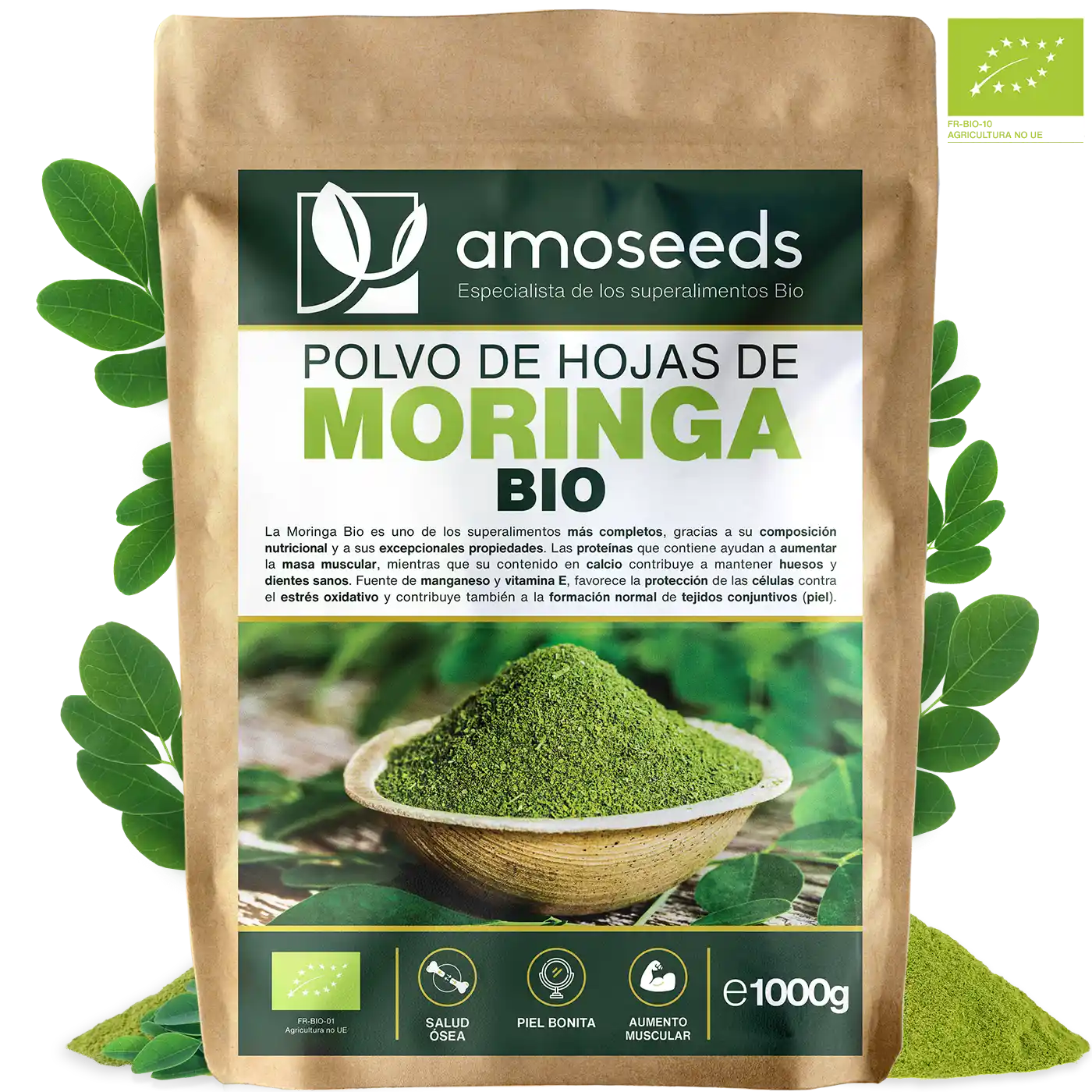 Moringa polvo Bio amoseeds especialista de los superalimentos Bio