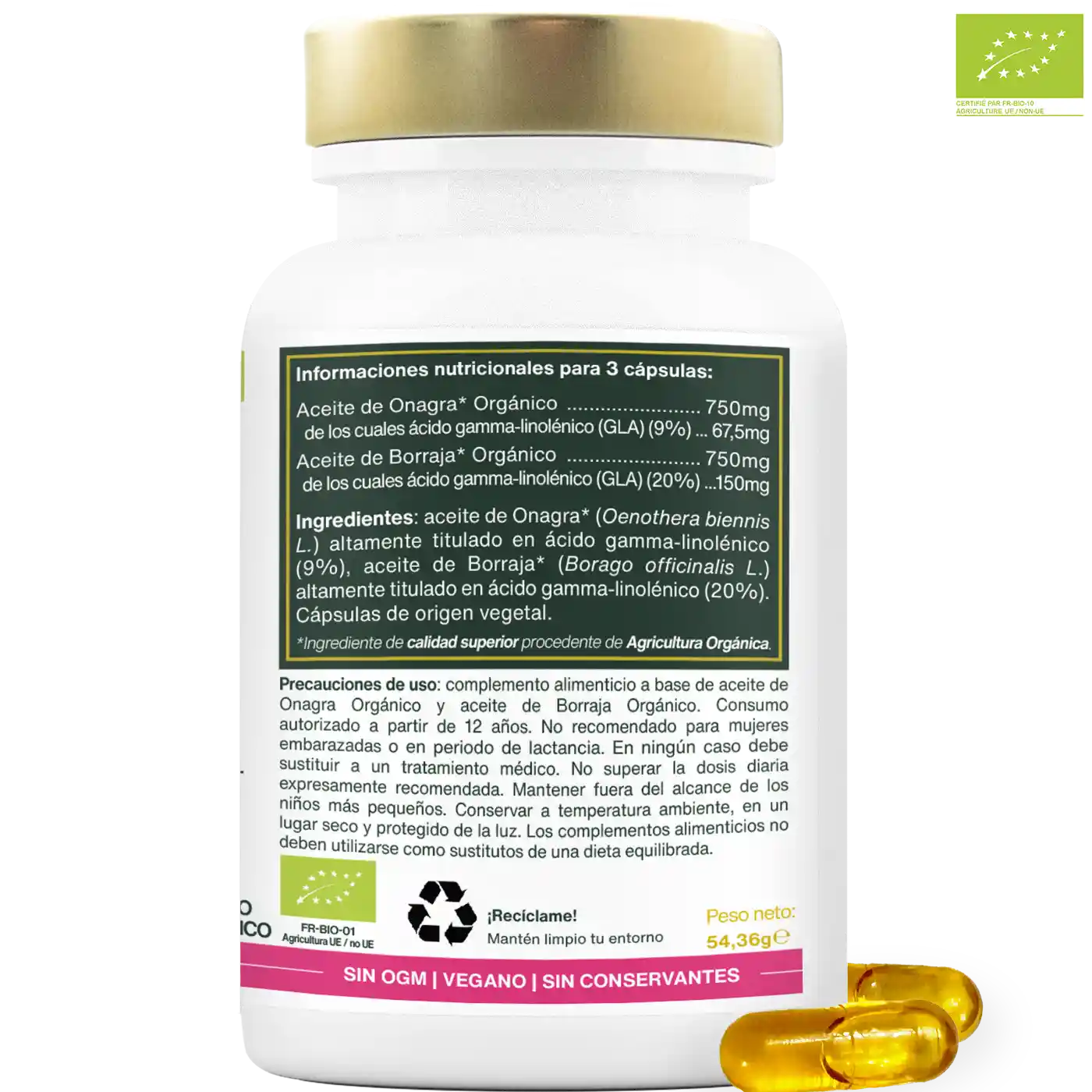 Onagra y Borraja Bio - amoseeds especialista de los superalimentos bio