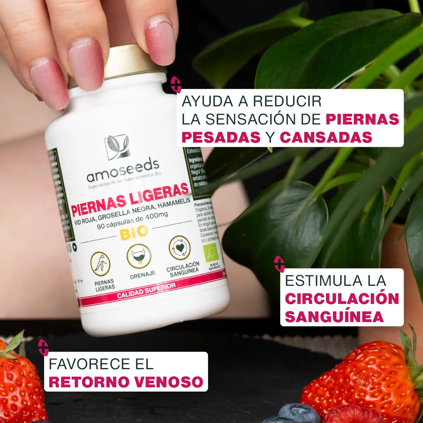 Beneficios Piernas Ligeras Bio - capsulas - amoseeds especialista de los superalimentos bio