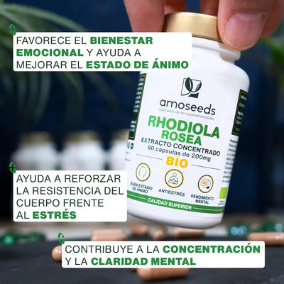 Beneficios Rhodiola Rosea Bio - amoseeds especialista de los superalimentos bio
