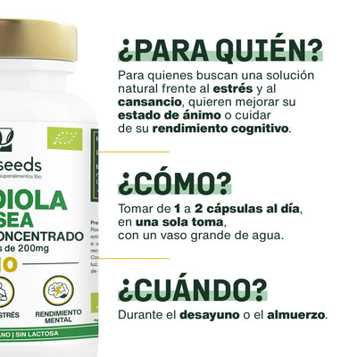 Uso Rhodiola Rosea Bio - amoseeds especialista de los superalimentos bio