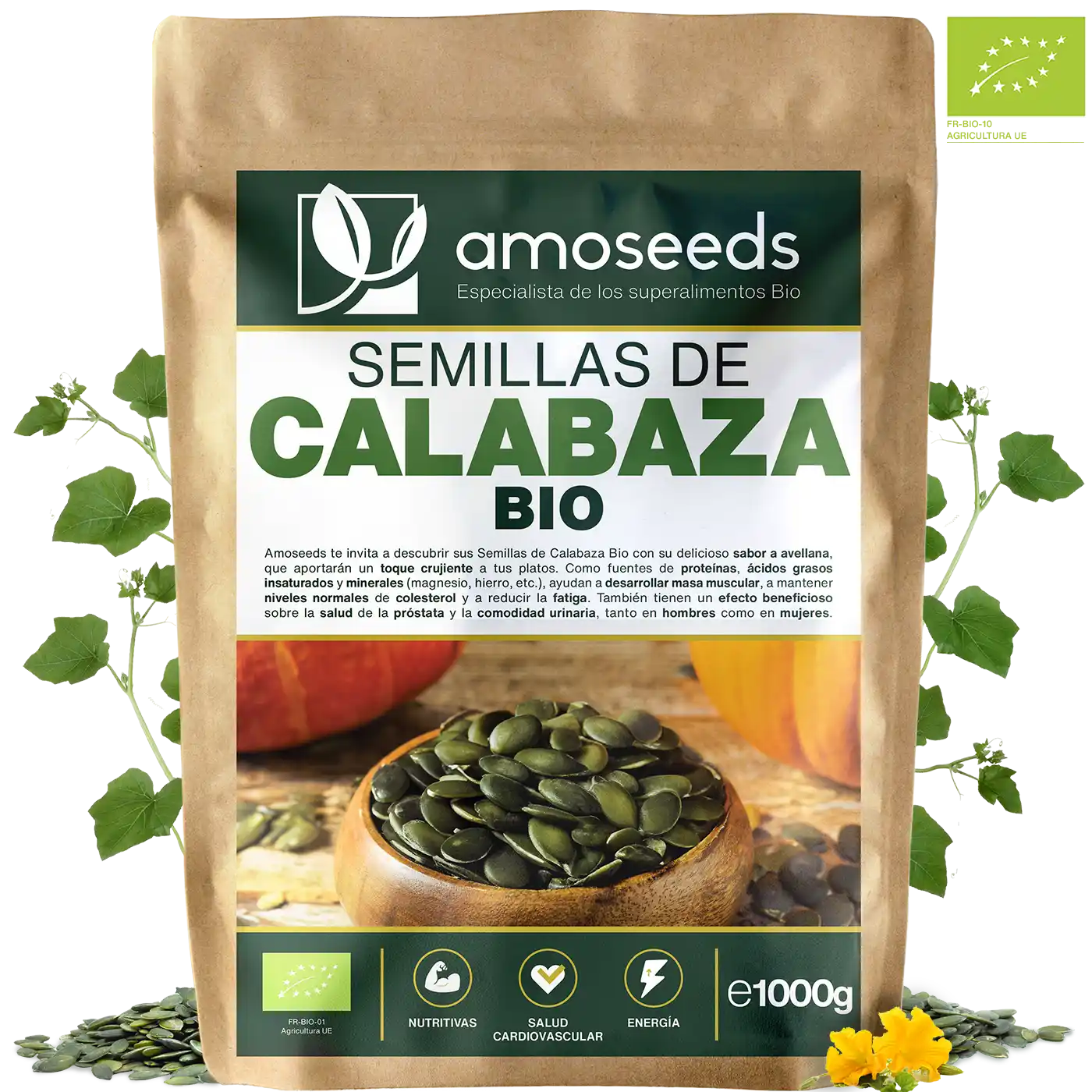 Semillas Calabaza Bio amoseeds especialista de los superalimentos bio.