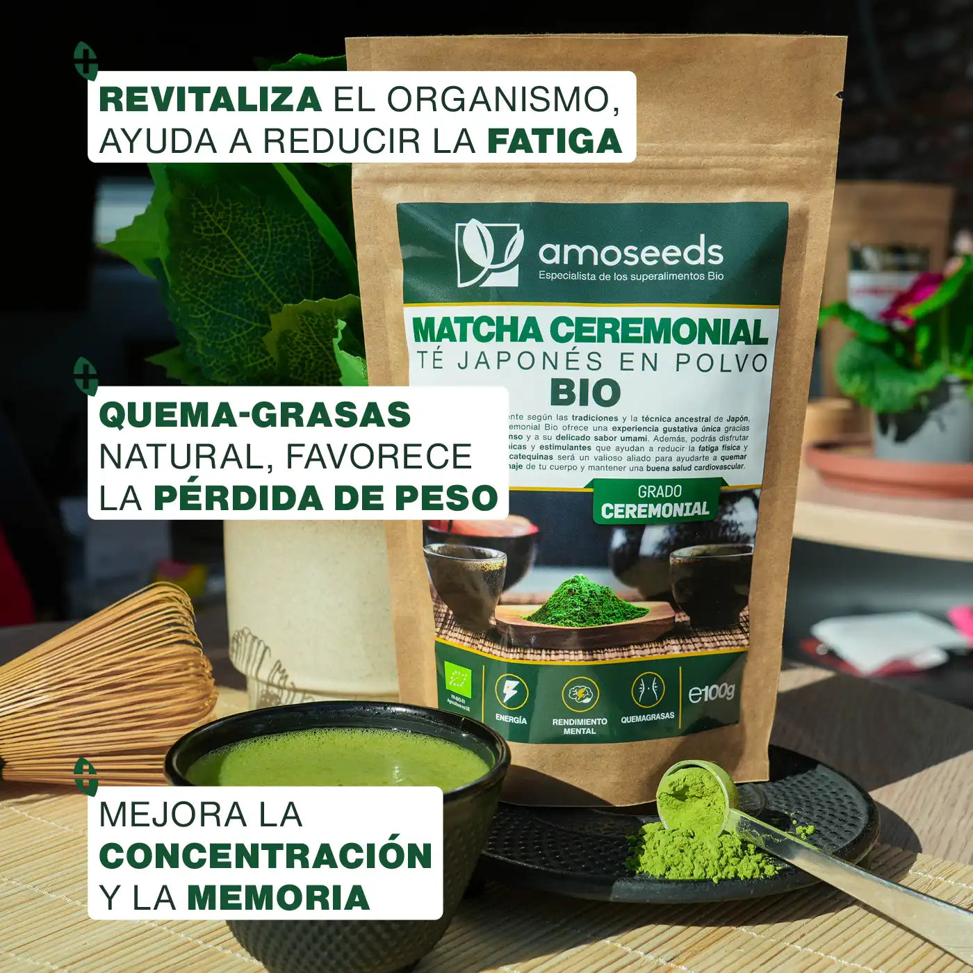 Beneficios Té Matcha Ceremonial Japonés Bio - amoseeds especialista de los superalimentos bio