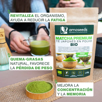 Beneficios Té Matcha Japonés Premium Bio - amoseeds especialista de los superalimentos bio